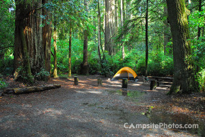 Jedediah Smith Campground in Redwoods