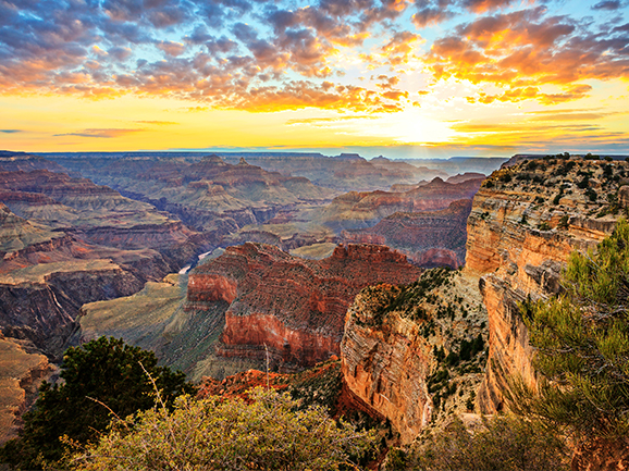 Roverpass - Grand Canyon