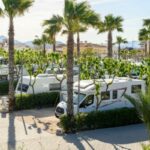 RVs in RV park with palm trees