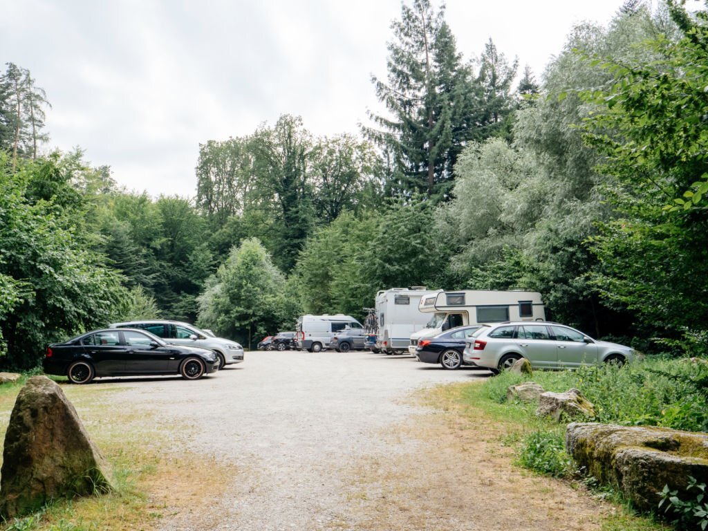 RVs parked in the forest