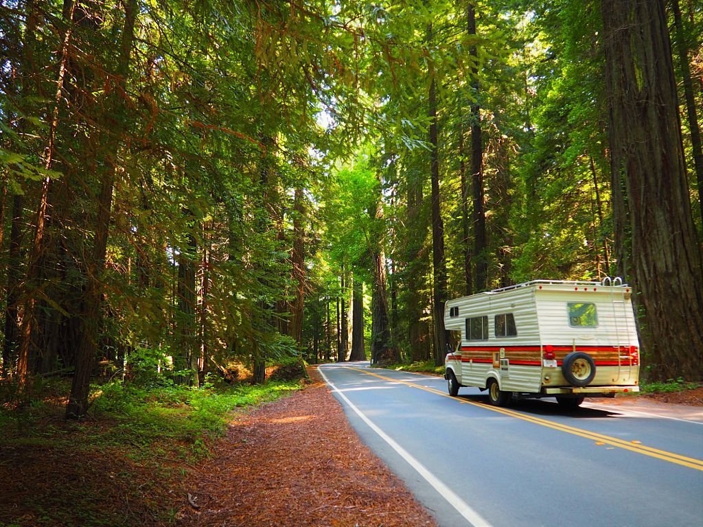 RV in the forest in the United States