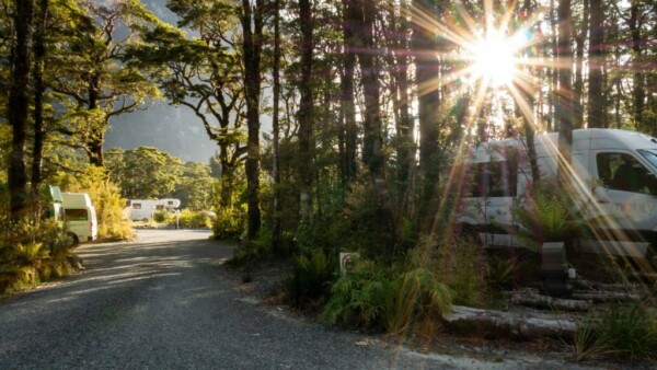 RV park in the woods in Milford Sound, Fiordland National Park, New Zealand