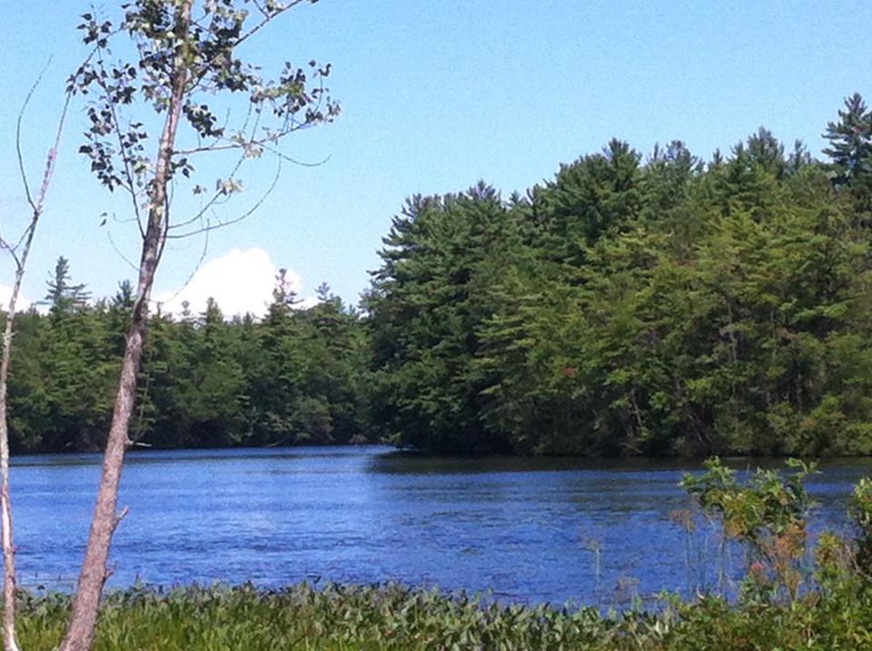 Apache Campground 3 Photos Cloudcroft, NM RoverPass