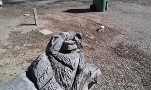 High Country Rv Park Naturita Co 6