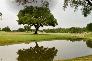 Alsatian Resort   Golf Club Castroville Tx 0