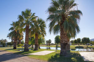 Oasis Palms Rv Resort Thermal Ca 2