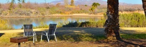 Arizona Oasis Rv Resort Ehrenberg Az 3