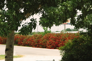 Canyon Trail Rv Resort San Marcos Tx 1