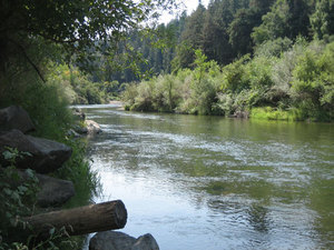 Burke S Canoe Trips Forestville Ca 4