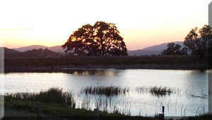 Indian Hill Ranch   Rv Park Tehachapi Ca 2