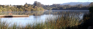 Pinto Lake Park Watsonville Ca 1