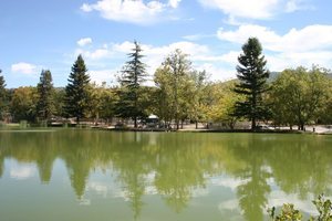 Silent Valley Club Banning Ca 0