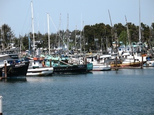 Sunset Harbor Rv Park Crescent City Ca 1