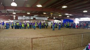 Washington County Fairgrounds Brenham Tx 2