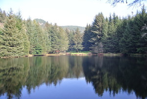 Elk Country Rv Resort And Campground Trinidad Ca 2
