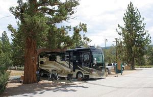 Pine Tree Rv Park Fawnskin Ca 1
