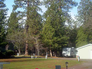 Trailer Lane Rv Park Weed Ca 2