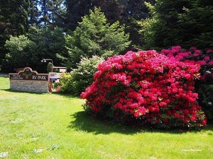 Village Camper Inn Rv Park Crescent City Ca 1