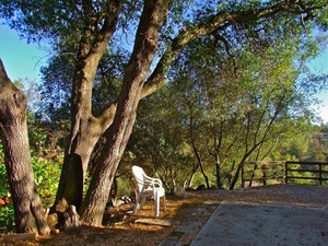 Park Of The Sierras Coarsegold Ca 2