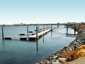 Dos Reis Regional Park Lodi Ca 1
