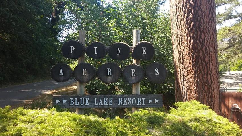 Pine Acres Resort Upper Lake Ca 3