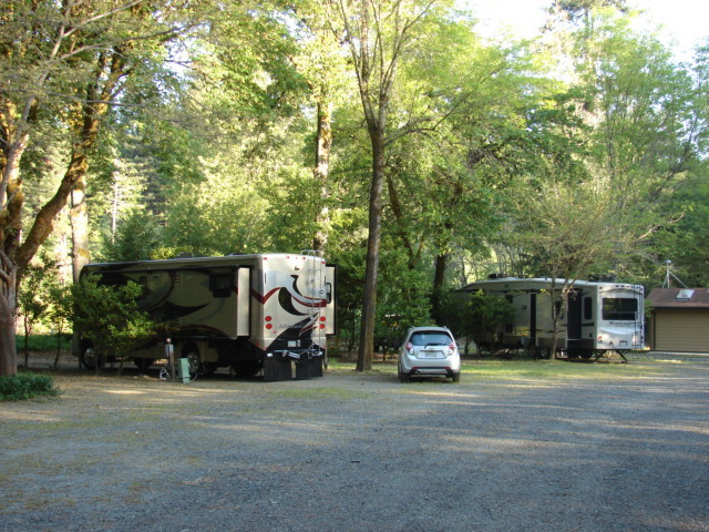 Giant Redwoods Rv   Camp Myers Flat Ca 0