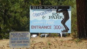 Bigfoot Campground Junction City Ca 1