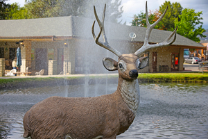 Cherry Valley Lakes Rv Campground Beaumont Ca 2