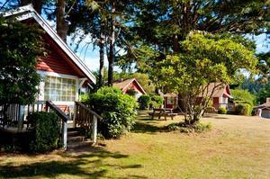 View Crest Lodge Trinidad Ca 2