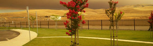 Kit Fox Rv Park Patterson Ca 2