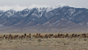San Luis Valley Campground Villa Grove Co 1