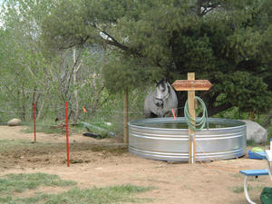 Arkansas River Rim Campground   Rv Park Buena Vista Co 1