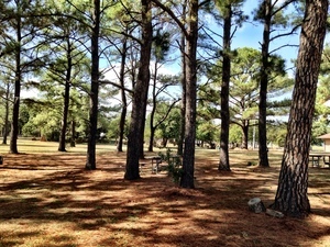 Lewisville Lake Park Campground Lewisville Tx 2
