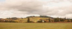 Willamette Wine Country Rv Park Dayton Or 1