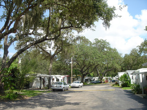 West Bay Oaks Largo Fl 1