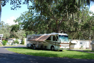 West Bay Oaks Largo Fl 2