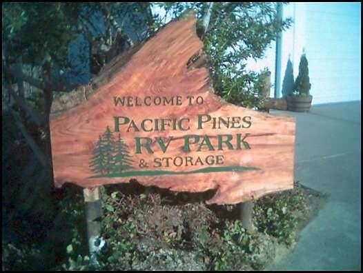 Pacific Pines Rv Park   Storage Florence Or 0