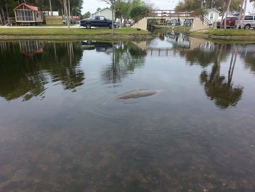 Nature S Resort Rv Park Homosassa Fl 1