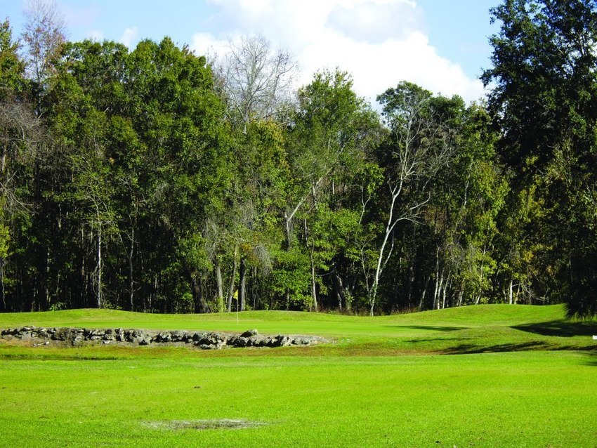 Shady Brook Golf   Rv Sumterville Fl 0