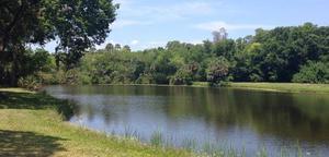 Sugar Mills Ruins Travel Park New Smyrna Beach Fl 2