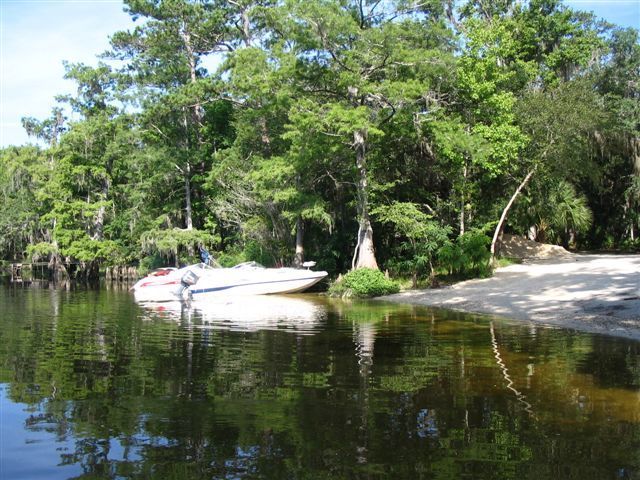 Yellow Jacket Campground Old Town Fl 0