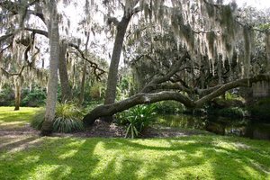 Frog Creek Rv Resort And Campground Palmetto Fl 1