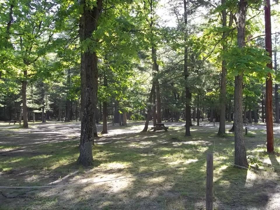 Ivan's Campground, Canoe Rental & Cabins 2 Photos Baldwin, MI