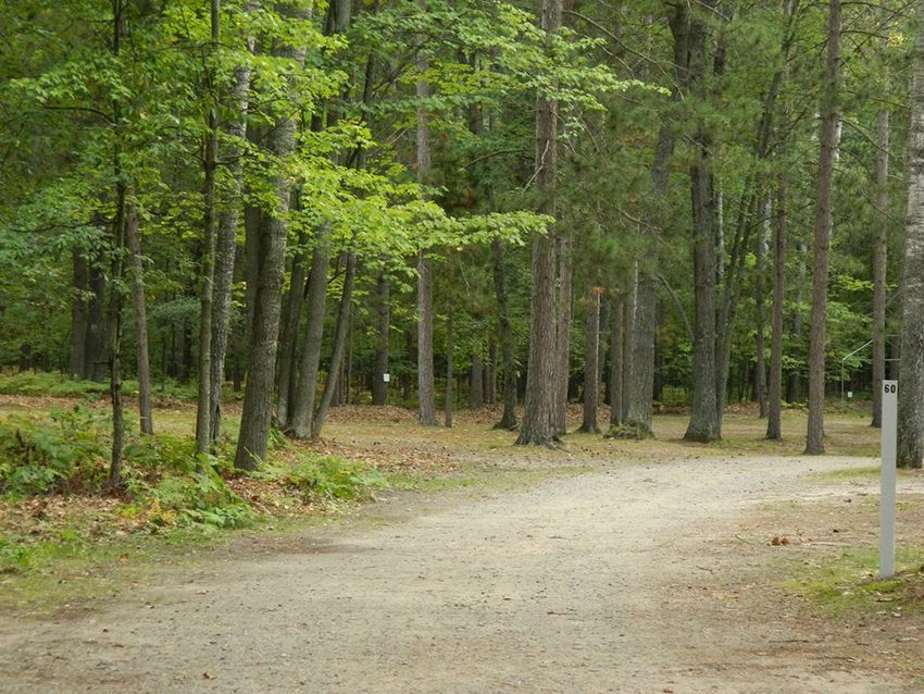 Big Bear Lake State Forest Campground Johannesburg, MI RoverPass