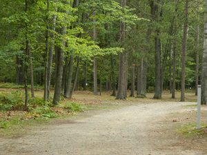 Northern Nights Family Campground Roscommon Mi 2
