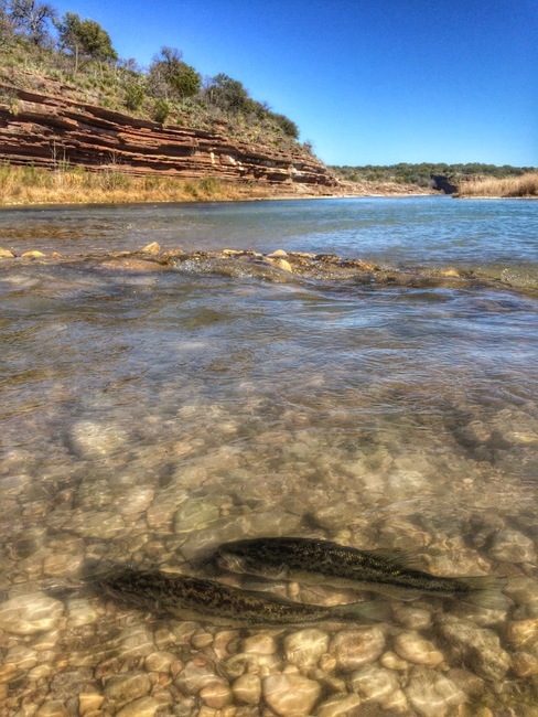 Dos Rios Rv Park Mason Tx 5