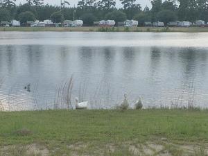 Thompson Lake Park Silsbee Tx 2