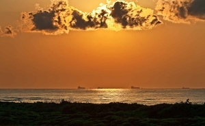Pioneer Beach Resort Port Aransas Tx 4