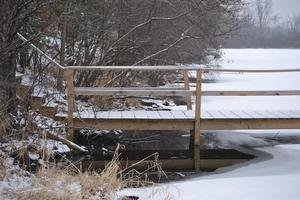 Deer Trail Park Campground Wytheville Va 2