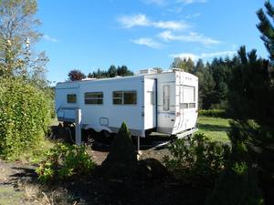 Toutle River Rv Resort Castle Rock Wa 2